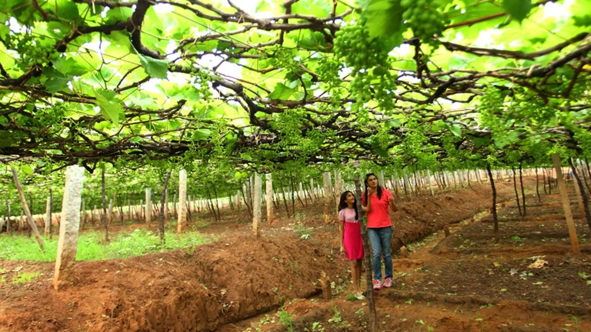 فندق Harvest Fresh Farms Kumily